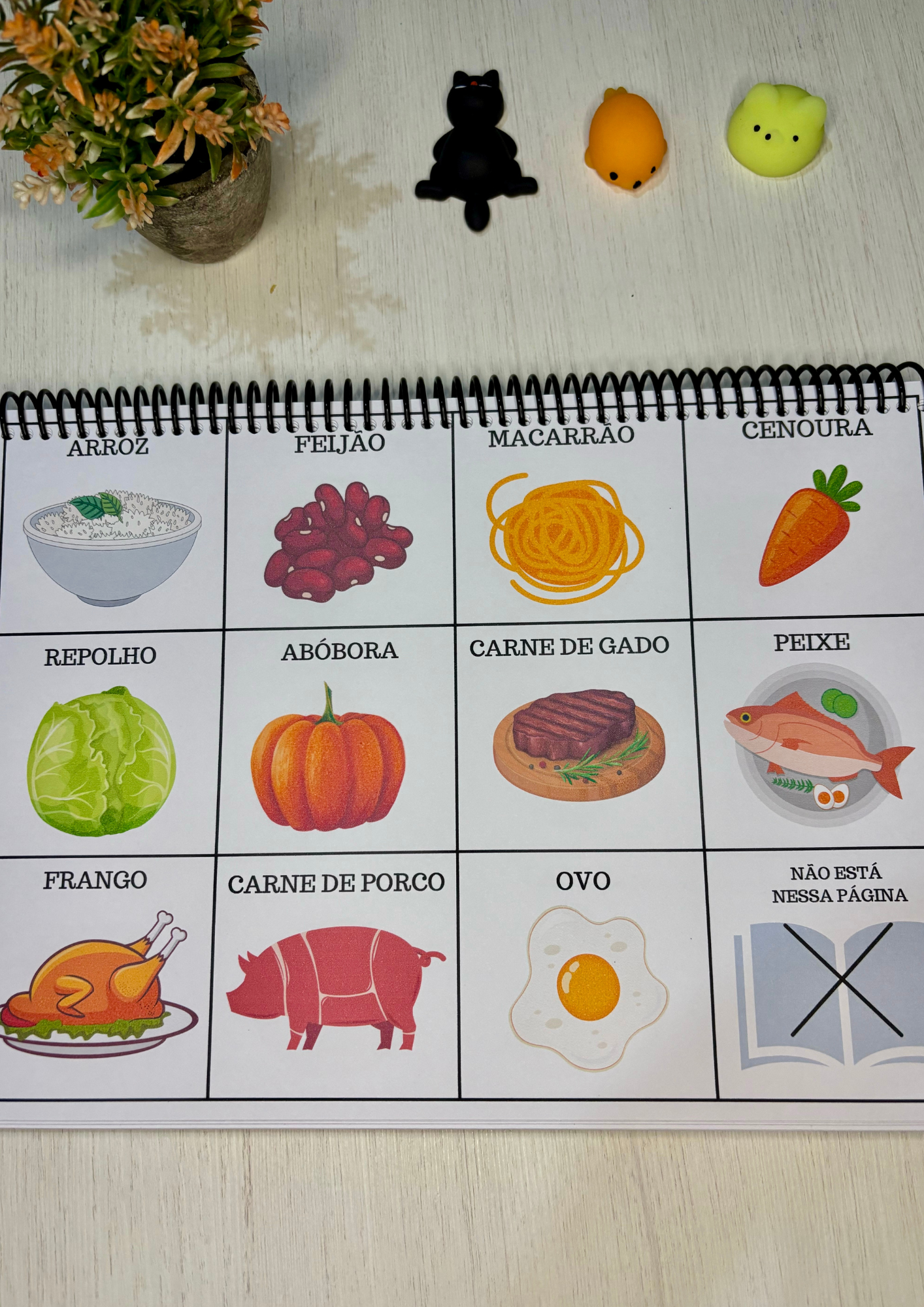 Prancha de Comunicação Alternativa